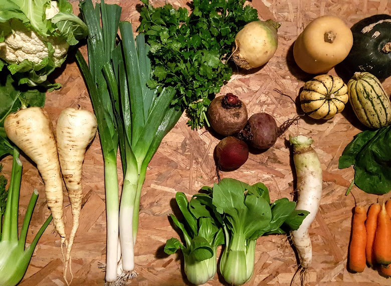 Exemple de panier de légumes