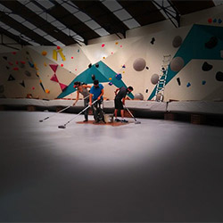 On n'a pas pris les plus malins...